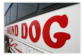 hound dog sign